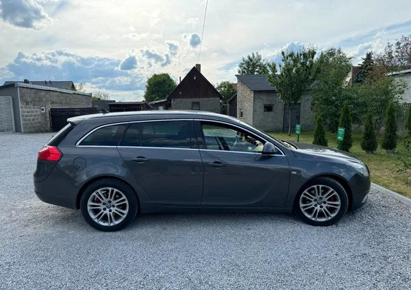 opel Opel Insignia cena 17900 przebieg: 249000, rok produkcji 2009 z Końskie